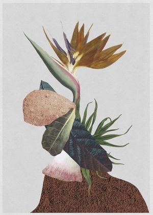 Flower Collage