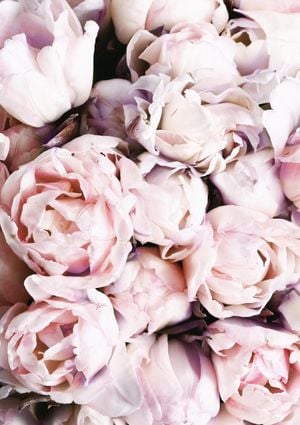 Flower Explosion 21x30