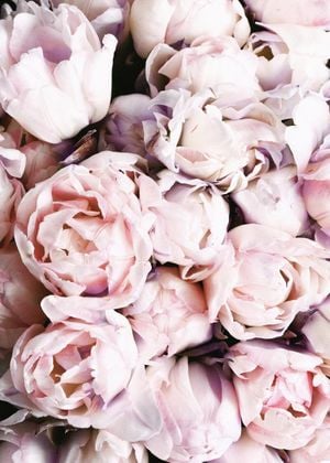Flower Explosion