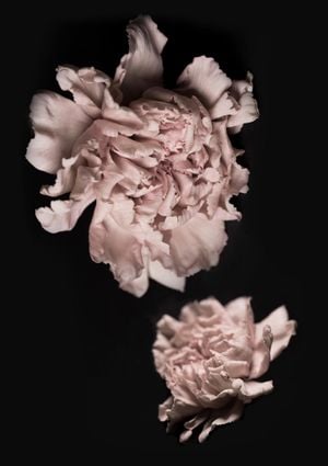 Flowers In The Dark 21x30