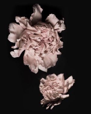 Flowers In The Dark 40x50