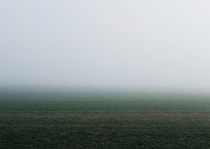 Foggy Field Gradient 30x21