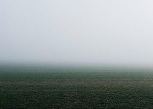 Foggy Field Gradient 70x50