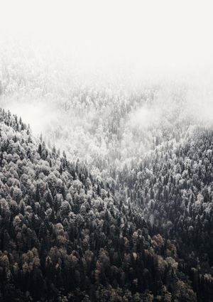 Foggy Mountains 21x30