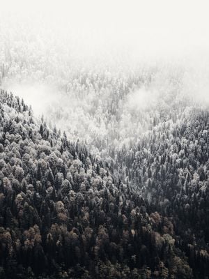 Foggy Mountains 30x40