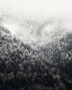 Foggy Mountains 40x50