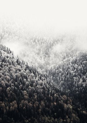 Foggy Mountains