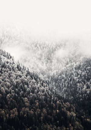 Foggy Mountains 70x100