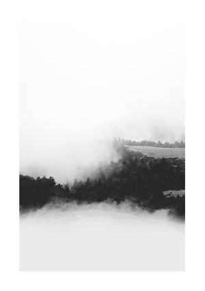 Foggy Valley 21x30