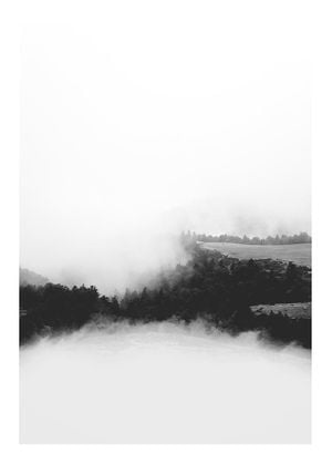 Foggy Valley