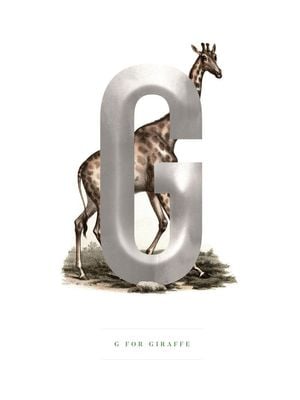 G For Giraffe 30x40