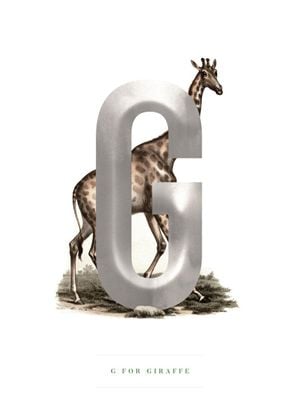 G For Giraffe 50x70