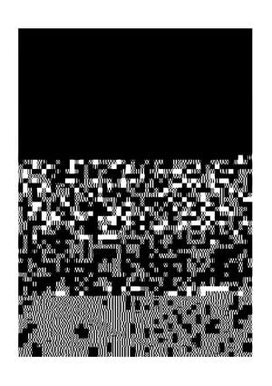 Glitch 21x30