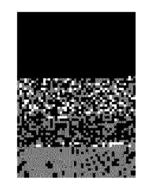 Glitch 40x50