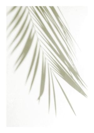 Golden Palm Shadow 21x30