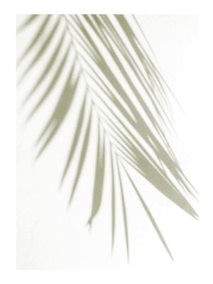Golden Palm Shadow 30x40