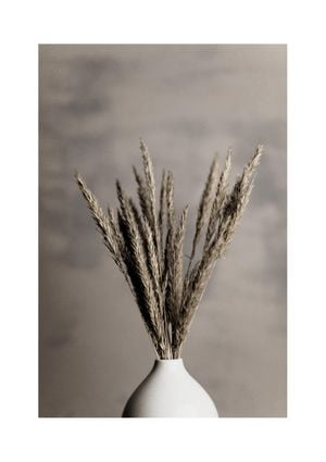 Grass In Vase 21x30