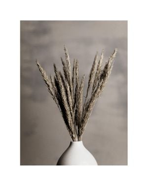 Grass In Vase 40x50