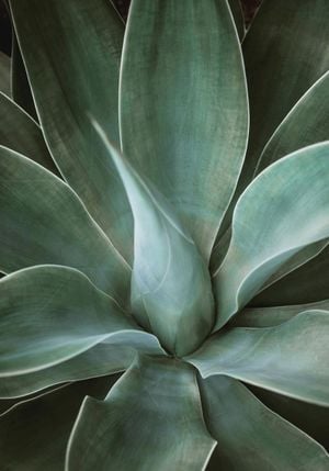 Green Blossom 70x100