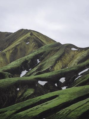 Green Expanse 1 30x40