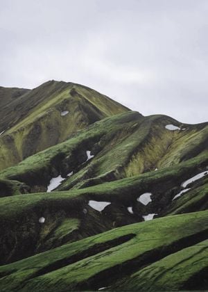 Green Expanse 1