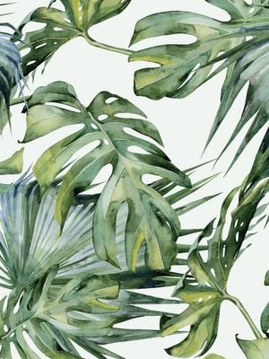 Green On Green 30x40