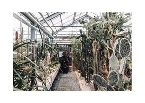 Greenhouse
