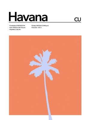 Havana Abstract 30x40