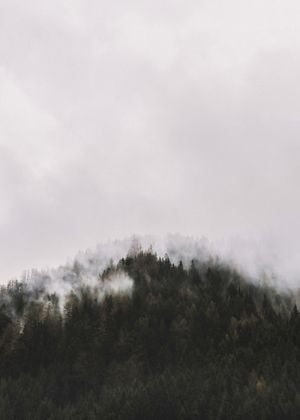 Hillside