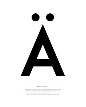 History Of The ä 40x50