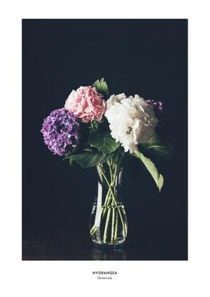 Hydrangea Vase 21x30