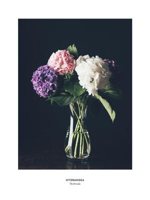 Hydrangea Vase 30x40