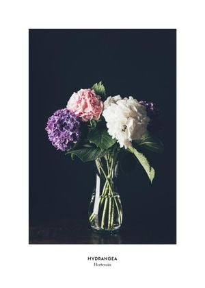 Hydrangea Vase