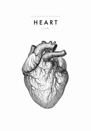 Illustration Of The Human Heart 70x100