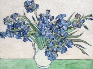 Irises 2 By Van Gogh 40x30