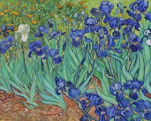 Irises By Van Gogh 50x40