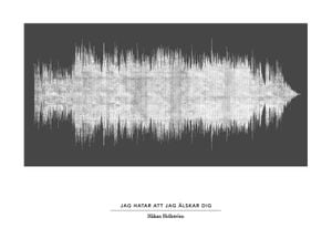 Jag Hatar Att Jag älskar Dig Dark 40x30