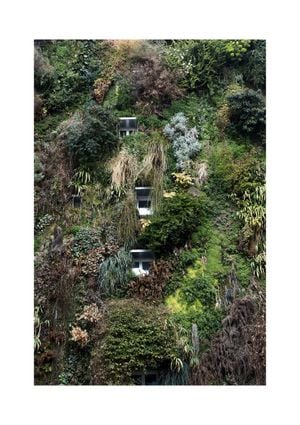 Jungle House 21x30