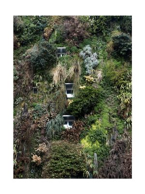 Jungle House 30x40