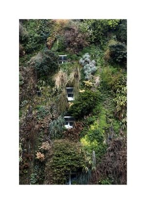Jungle House