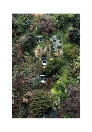 Jungle House 70x100