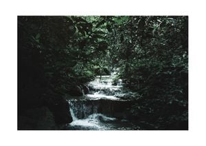Jungle Scene 30x21