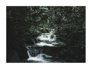 Jungle Scene 40x30