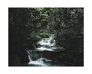 Jungle Scene 50x40
