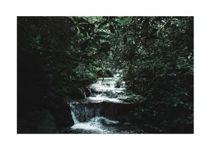 Jungle Scene