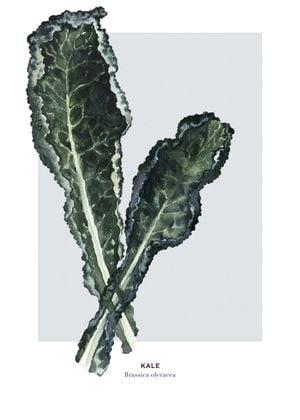 Kale