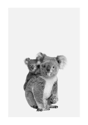 Koala Family 21x30