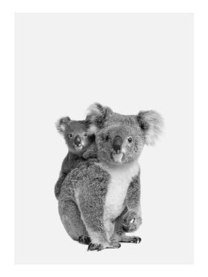 Koala Family 30x40