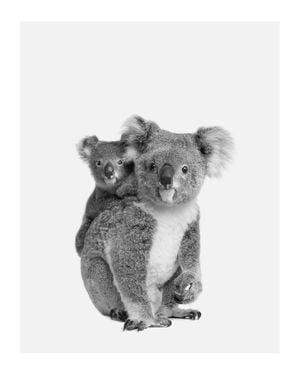 Koala Family 40x50