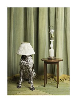 Lamp Doggo 30x40